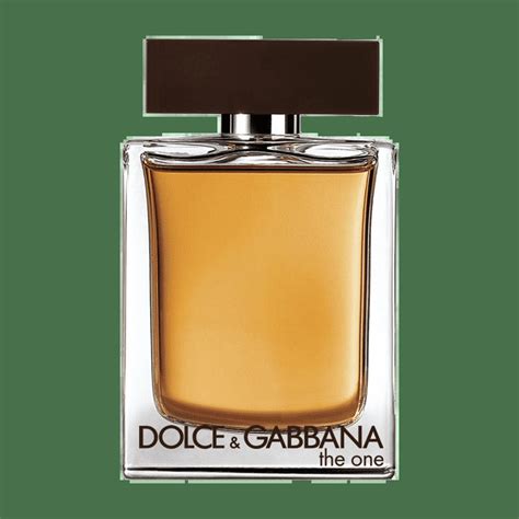 dolce gabbana the one for men vs dior homme intense|dior homme vs d&g the one.